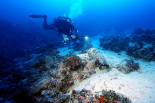 Illustration for article titled This Massive Shipwreck Graveyard Is Way Bigger Than Scientists Thought